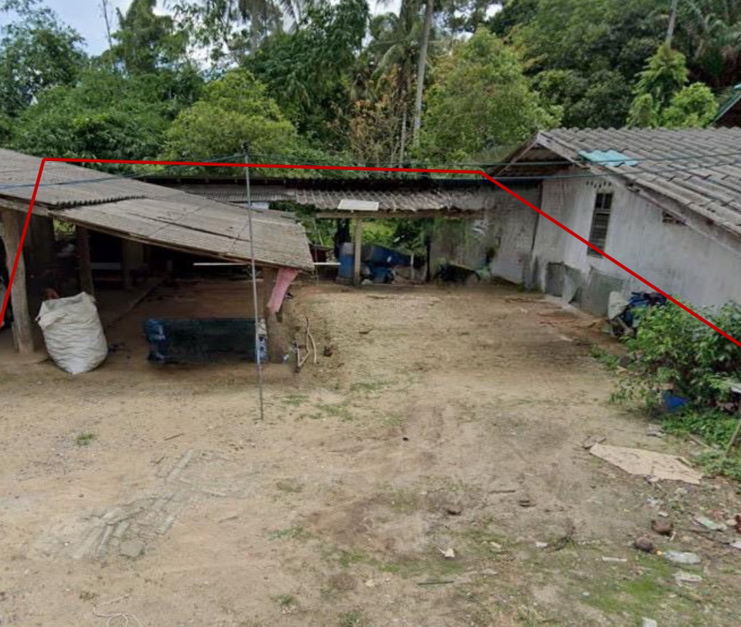 ขายทอดตลาด ที่ดินพร้อมสิ่งปลูกสร้าง ต.พุนพิน อ.พุนพิน จ.สุราษฎร์ธานี