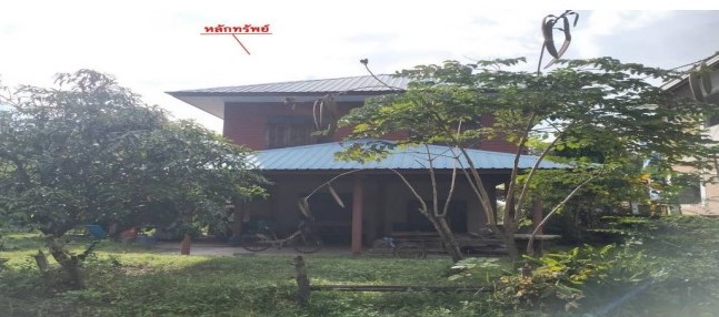 ขายทอดตลาด ที่ดินพร้อมสิ่งปลูกสร้าง ต.บ้านไทย อ.เขื่องใน จ.อุบลราชธานี