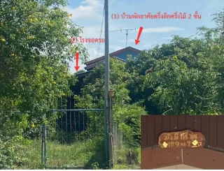 รูปทรัพย์ 2