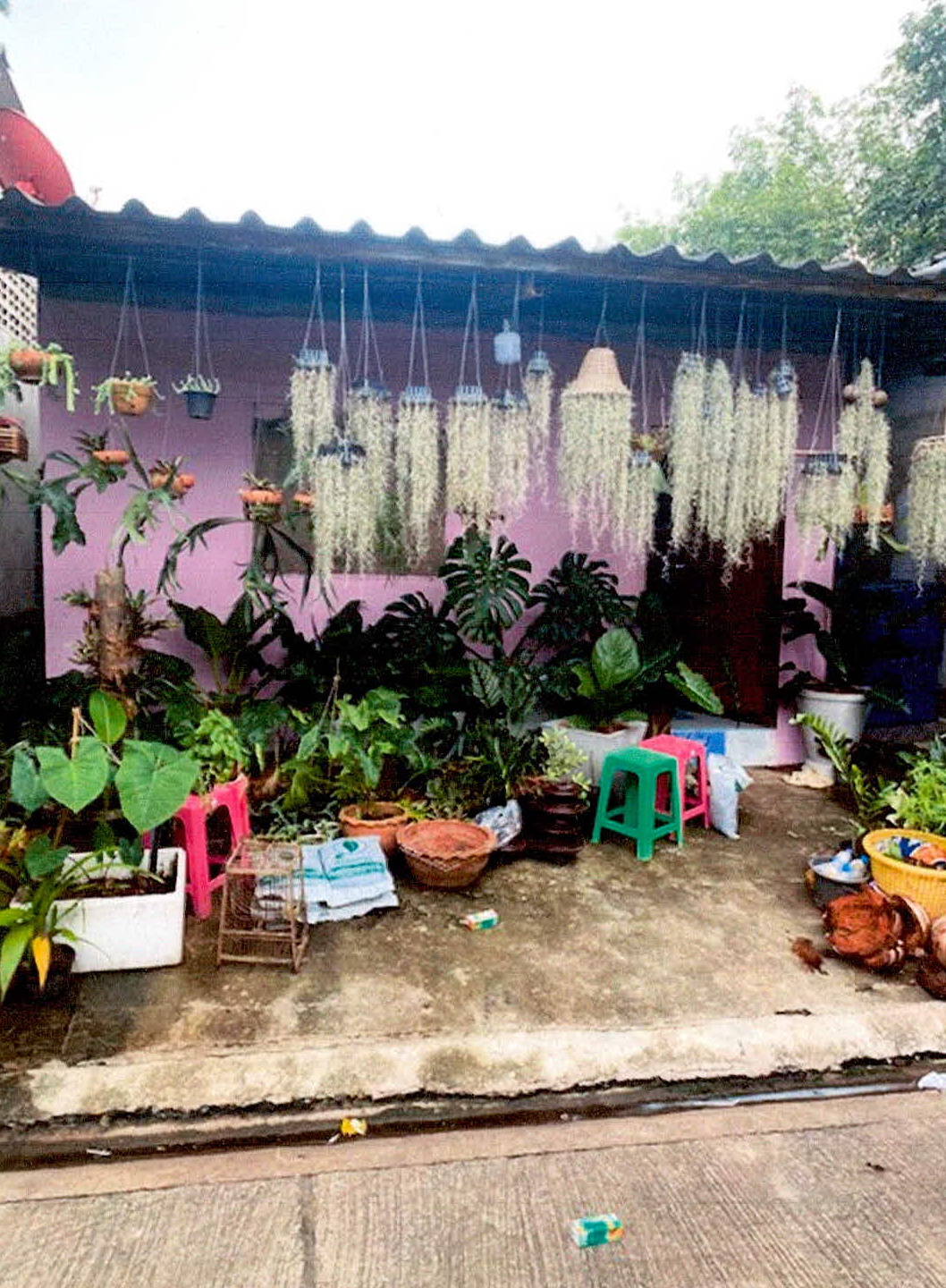 ขายทอดตลาด ที่ดินพร้อมสิ่งปลูกสร้าง ต.วัดประดู่ อ.เมืองสุราษฎร์ธานี จ.สุราษฎร์ธานี