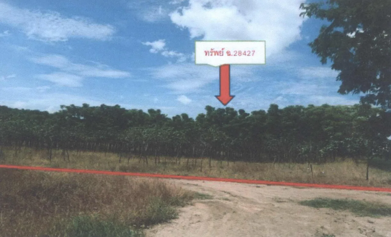 ขายทอดตลาด ที่ดินว่างเปล่า จ.สุพรรณบุรี