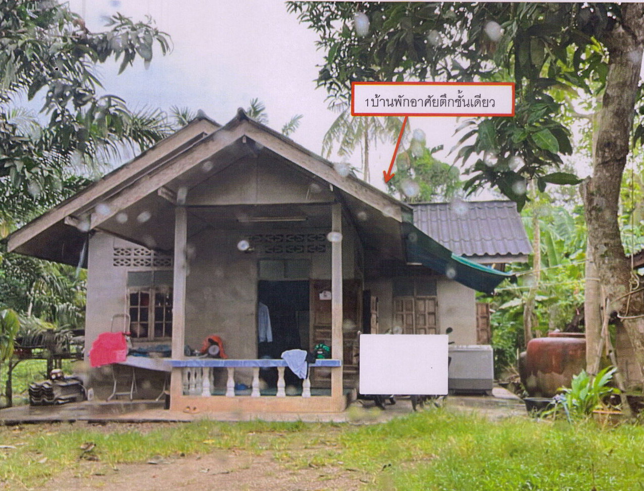 ขายทอดตลาด ที่ดินพร้อมสิ่งปลูกสร้าง ต.พุนพิน อ.พุนพิน จ.สุราษฎร์ธานี