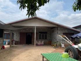 ขายทอดตลาด ที่ดินพร้อมสิ่งปลูกสร้าง ต.หนองนาง อ.ท่าบ่อ จ.หนองคาย