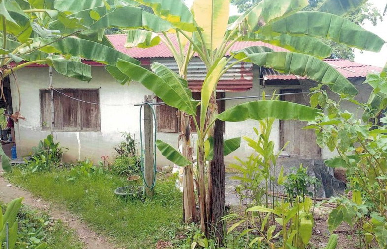 ขายทอดตลาด ที่ดินพร้อมสิ่งปลูกสร้าง ต.ดอนจิก อ.พิบูลมังสาหาร จ.อุบลราชธานี