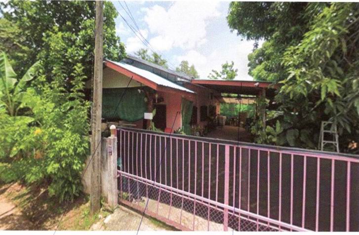 ขายทอดตลาด ที่ดินพร้อมสิ่งปลูกสร้าง ต.ท่าบ่อ อ.ท่าบ่อ จ.หนองคาย