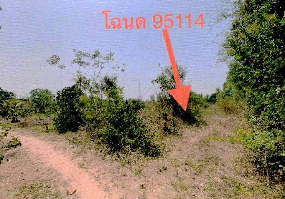 ขายทอดตลาด ที่ดินว่างเปล่า ต.โพนสว่าง อ.เมืองหนองคาย จ.หนองคาย