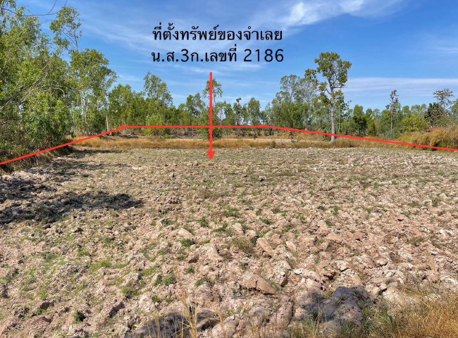 ขายทอดตลาด ที่ดินว่างเปล่า ต.เตย อ.ม่วงสามสิบ จ.อุบลราชธานี