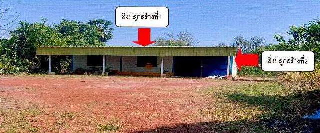 ขายทอดตลาด ที่ดินพร้อมสิ่งปลูกสร้าง ต.ทุ่งหลวง อ.โพนพิสัย จ.หนองคาย